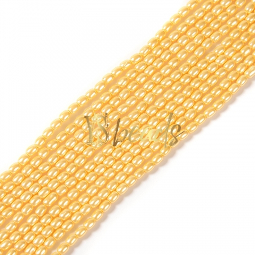 Golden Color Shell Rice Beads. Approx 2x3mm
