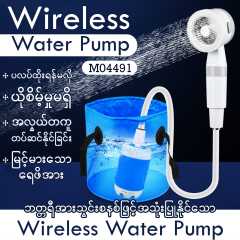 MG04491 (Water Pump Wireless)