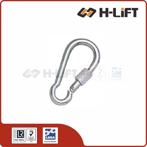 Carabiner Snap Hook with Eye and Screw Lock