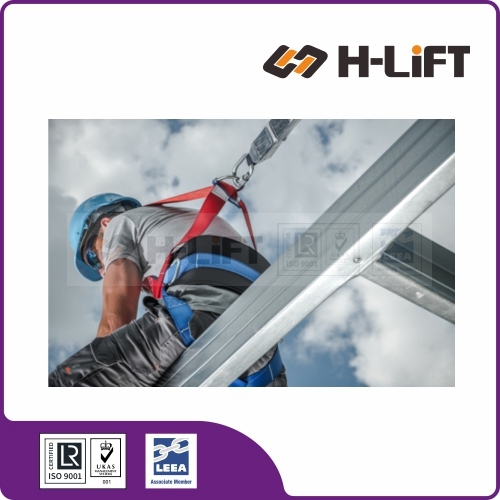 Safety Harness and Safety Lanyard