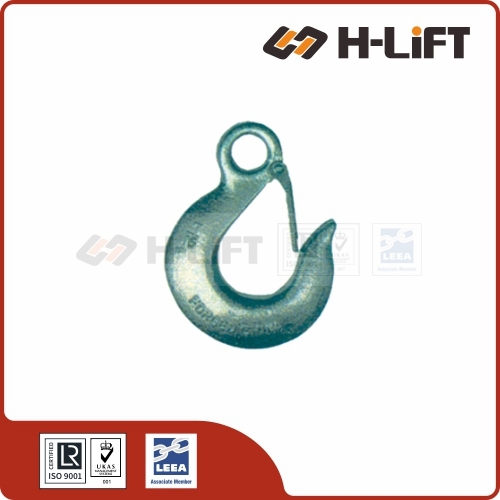 Eye Slip Hook With Latch