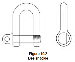 Dee Shackle