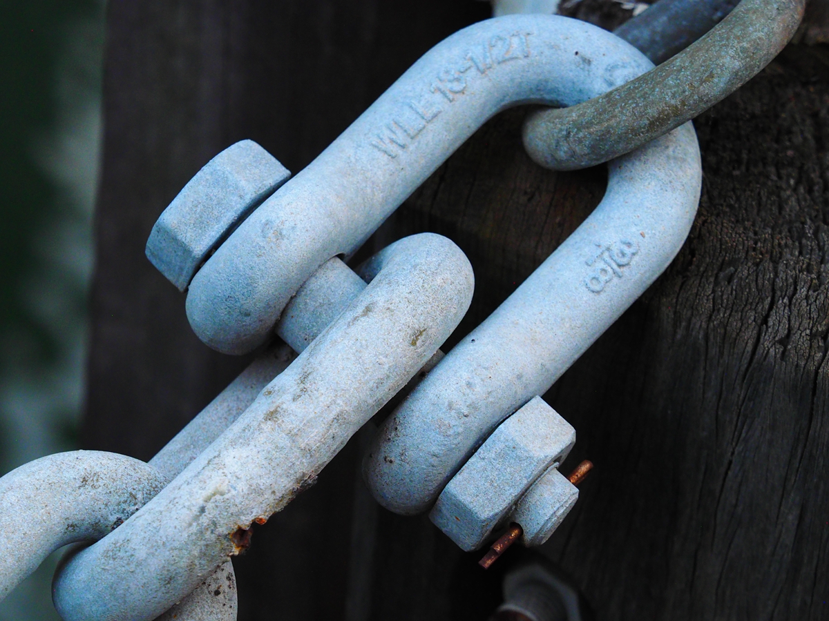 Dee type Chain Shackle