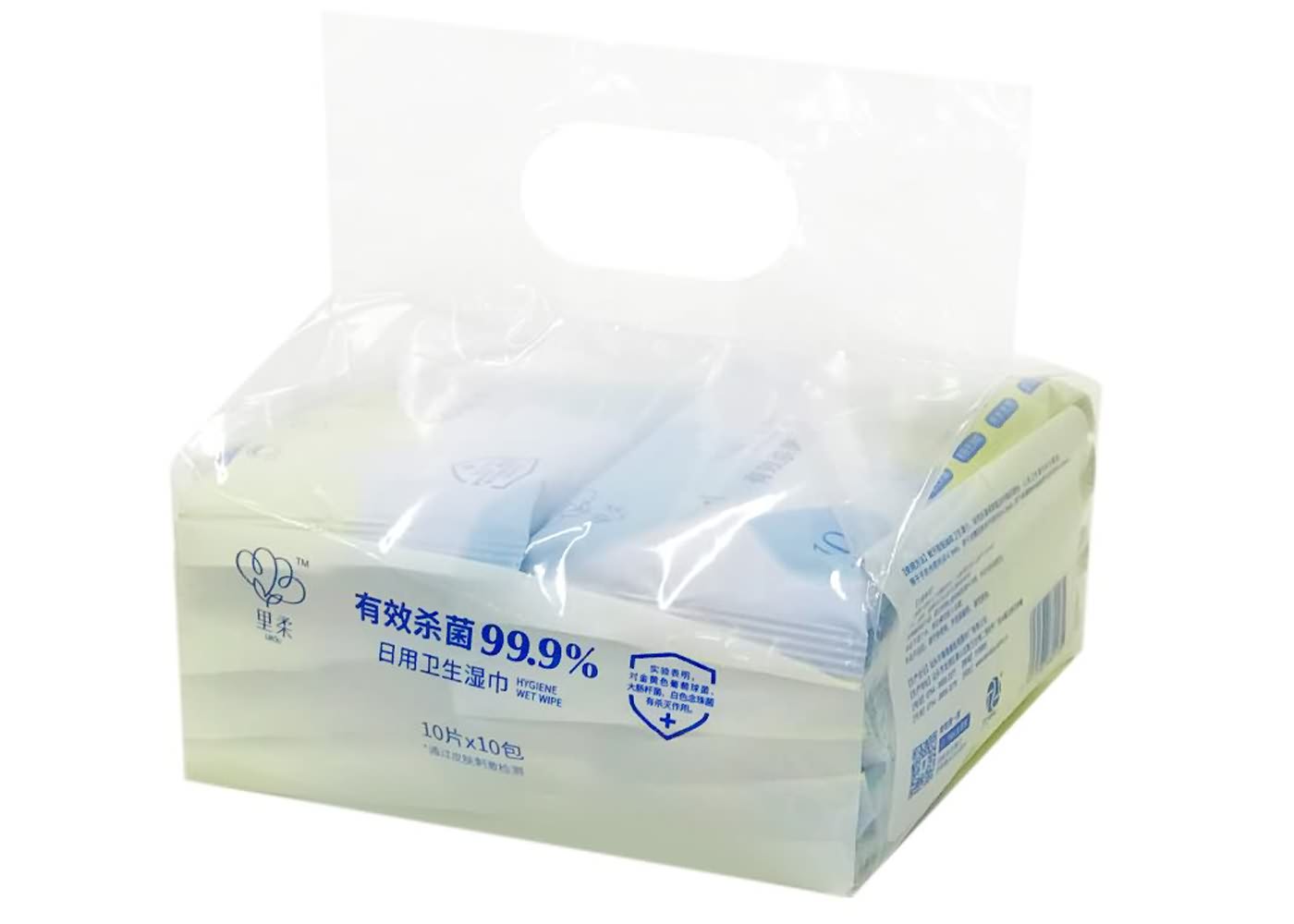 Disinfecting Wet Wipes (10 PCS)