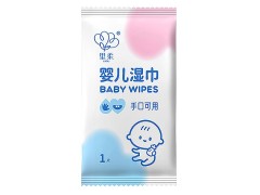 Baby Wet Wipes (10 PCS)