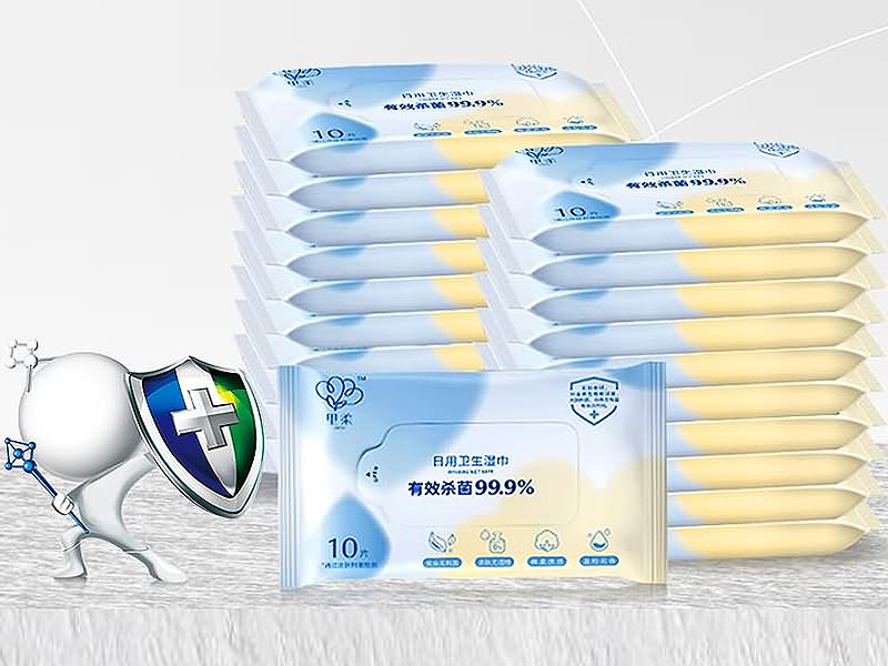 Disinfecting Wet Wipes (10 PCS)