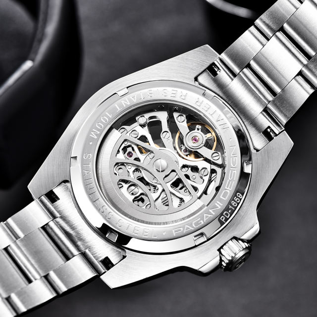 PAGANI DESIGN Men's Watches Luxury Skeleton Automatic Wrist Watch for ...