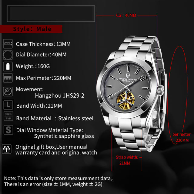 PAGANI DESIGN Men's Automatic Watches Casual Tourbilion Stainless Steel Wrist Watch for Men Sapphire Glass 100M Waterproof