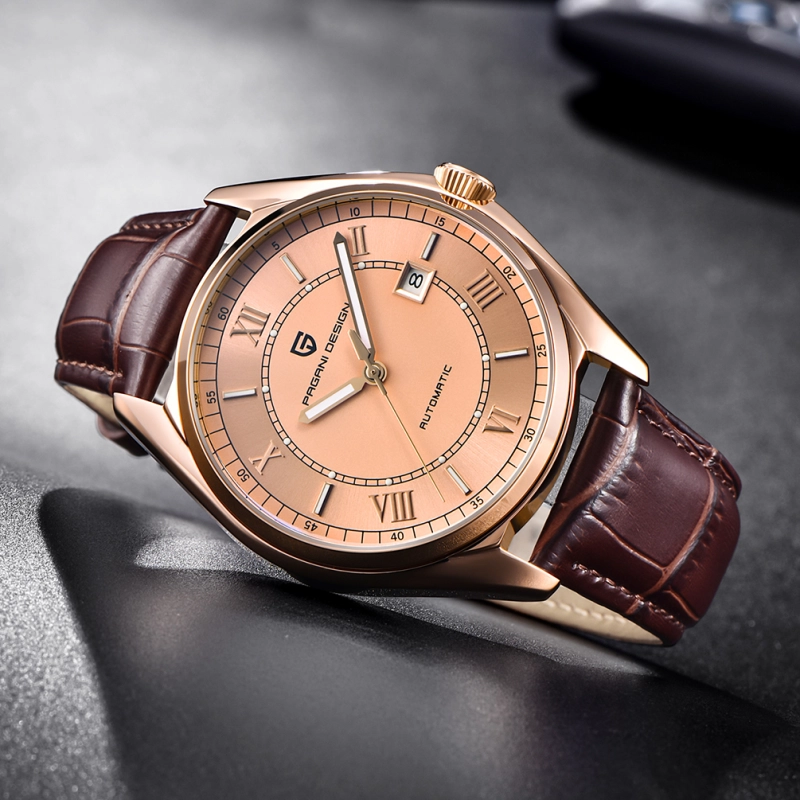 PAGANI DESIGN Luxury Men's Automatic Watches with Genuine Leather Strap Sea-gull 2813 Movement Deployment Clasp