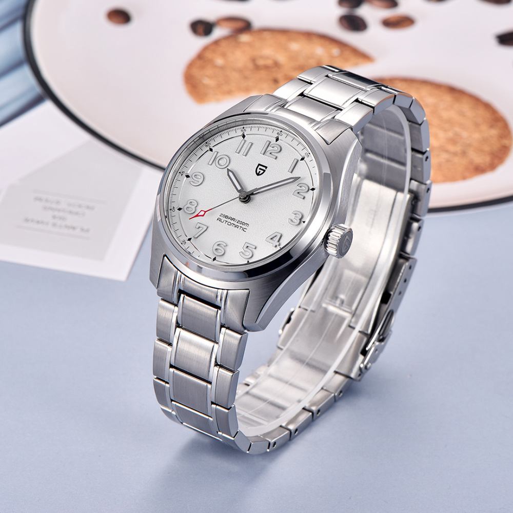 PAGANI DESIGN Men's Automatic Mechanical Watches 1717 V2 with 38mm Case full Stainless Steel Business Waterproof Wrist Watch for Men