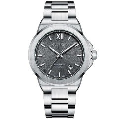 silver grey GJ16239