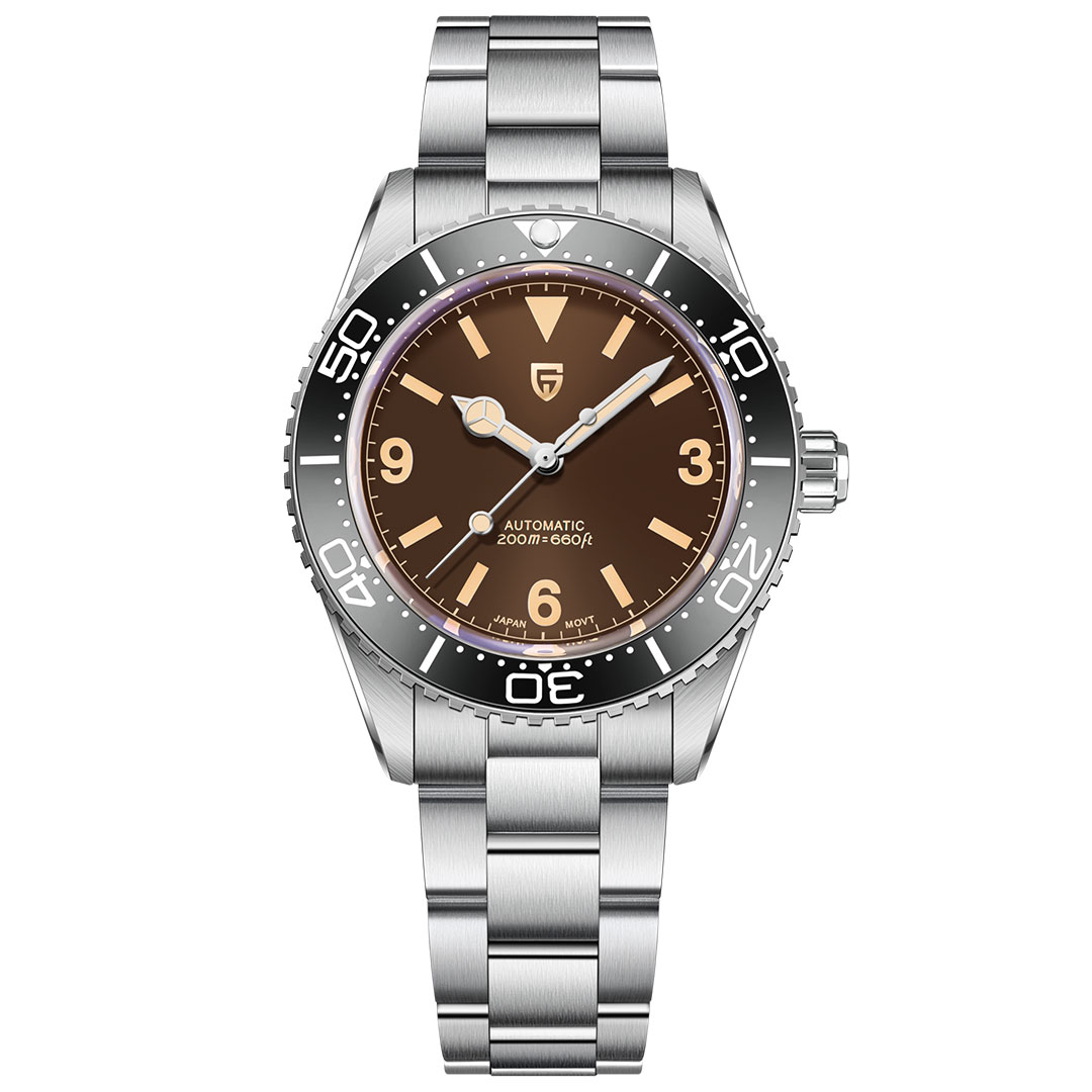 PAGANI DESIGN PD-1755 Men's Automatic Watches 40mm Vintage
