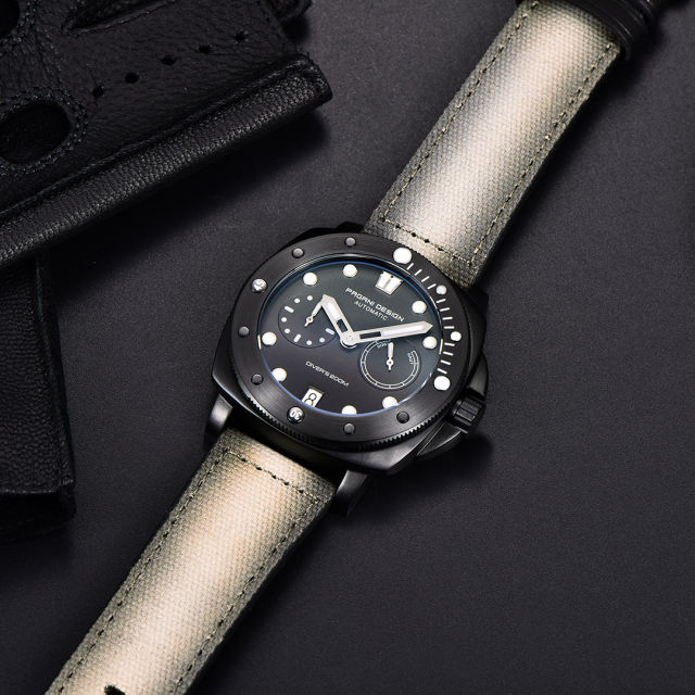 PAGANI DESIGN PD1767 Men's Automatic Watches 41mm Stainless Steel Unique Waterproof Mechanical Sports Wrist Watch for Men Sapphire Glass With AR Coating
