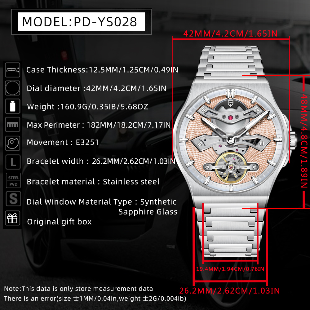 PAGANI DESIGN PD-YS028 New Automatic Men's Watch Unique Stainless Steel Mechanical Wrist Watch for Men, Balance Wheel, Synthetic Sapphire Dial Glass