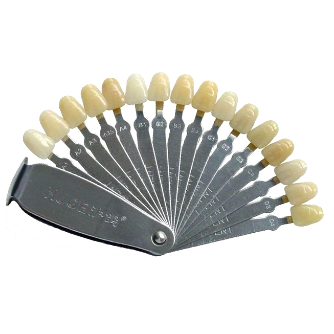 HUGE 16 Color Shade Guide Acrylic Teeth fit Shade System,Shade Guide