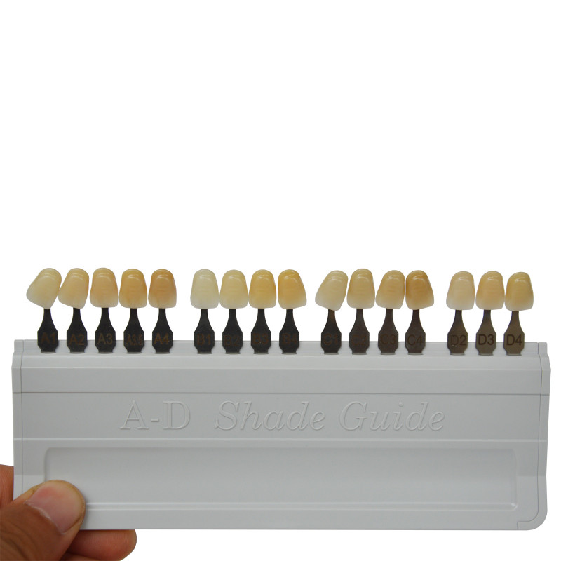 Ivoclar Vivadent Shade Guide A-D 16 Color Porcelain Teeth Based On VITA