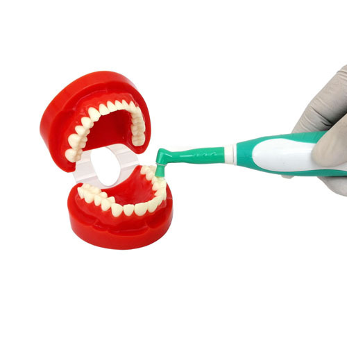 Dental Portable Hygiene Handpiece Cordless Rechargeable Green/Blue + 10 prophy angles