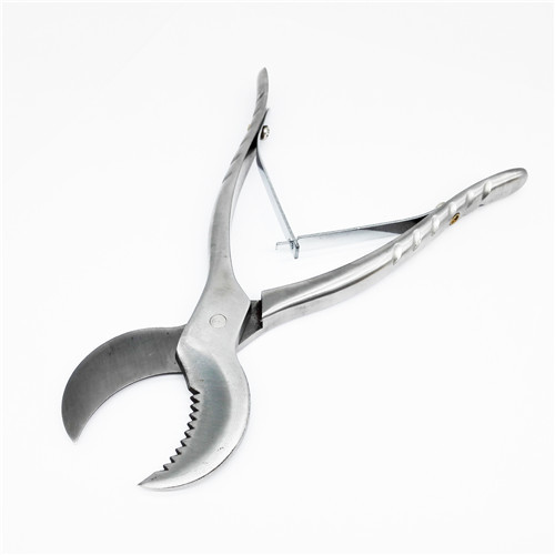 Dental Plaster Shear Scissor Cutter Pliers Bandages Remover Stainless Steel 20cm