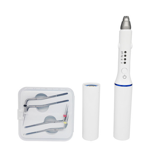 Dental Endo Obturation Pen with 4 Heated Tips &amp; Backup Batteries COXO Style