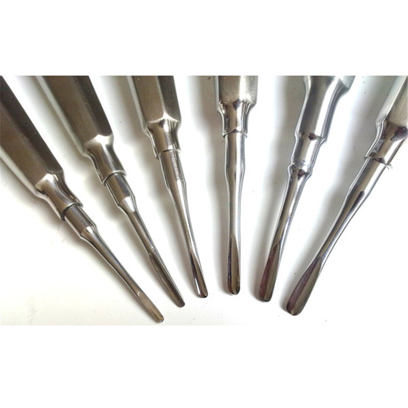 Dental Straight Surgery Extracting Extraction Apical Root Tip Elevator