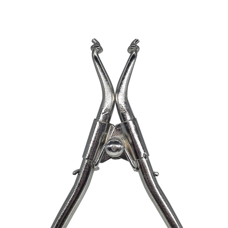 Dental Forceps Matrice Plier F/ installation of Sectional Matrices Matrix