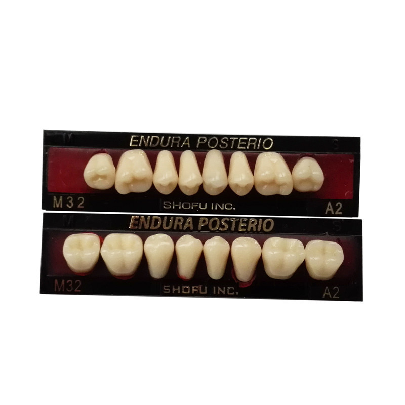 SHOFU ENDURA Dental Denture False Teeth Resin A2 M30 M32 Plastic