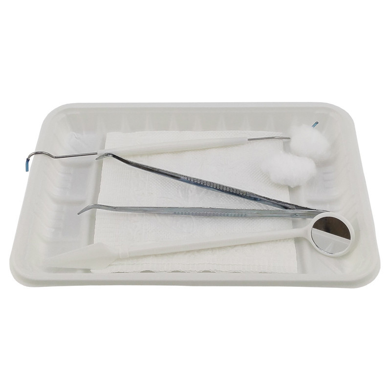 Basic Dental Instruments Set Mouth Mirror Explorer Plain Plier
