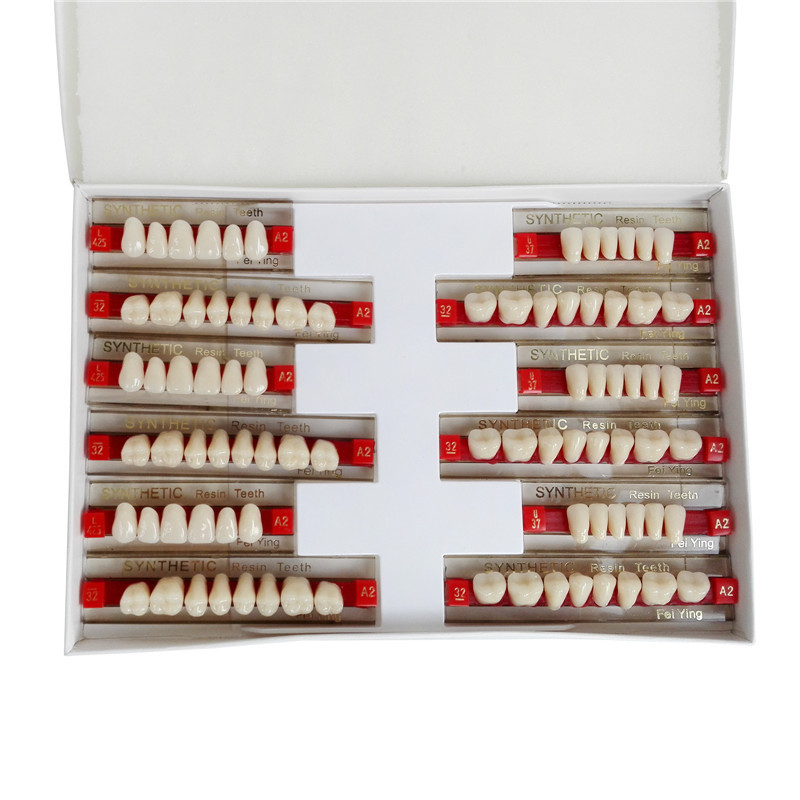 Acrylic Resin Denture Teeth Color A2 A3 Upper Lower Shade Dental