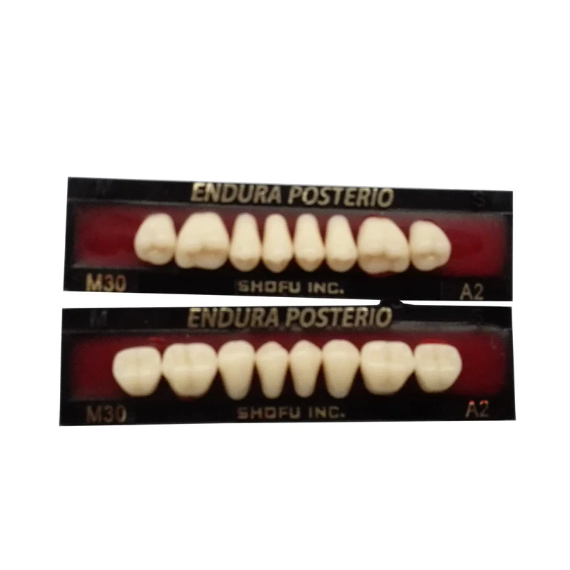 SHOFU ENDURA Dental Denture False Teeth Resin A2 M30 M32 Plastic