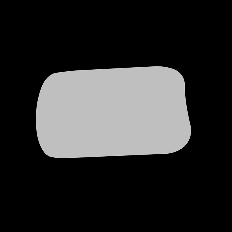 Dental Stainless Steel Photographic Mirror