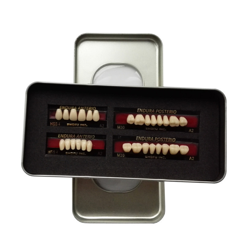SHOFU ENDURA Dental Denture False Teeth Resin A2 M30 M32 Plastic