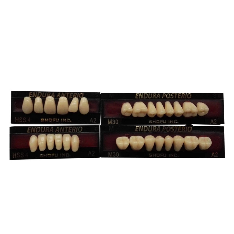 SHOFU ENDURA Dental Denture False Teeth Resin A2 M30 M32 Plastic