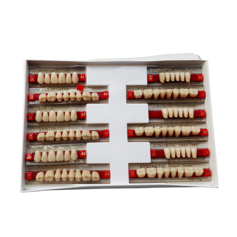 Acrylic Resin Denture Teeth Color A2 A3 Upper Lower Shade Dental