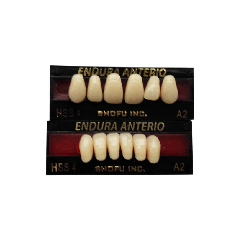 SHOFU ENDURA Dental Denture False Teeth Resin A2 M30 M32 Plastic