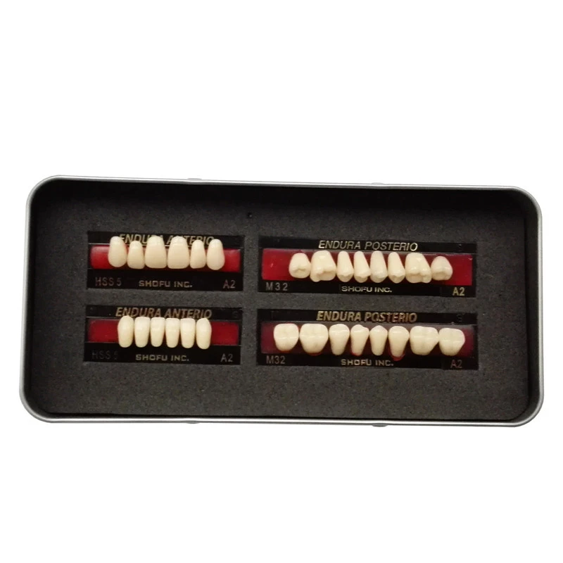 SHOFU ENDURA Dental Denture False Teeth Resin A2 M30 M32 Plastic