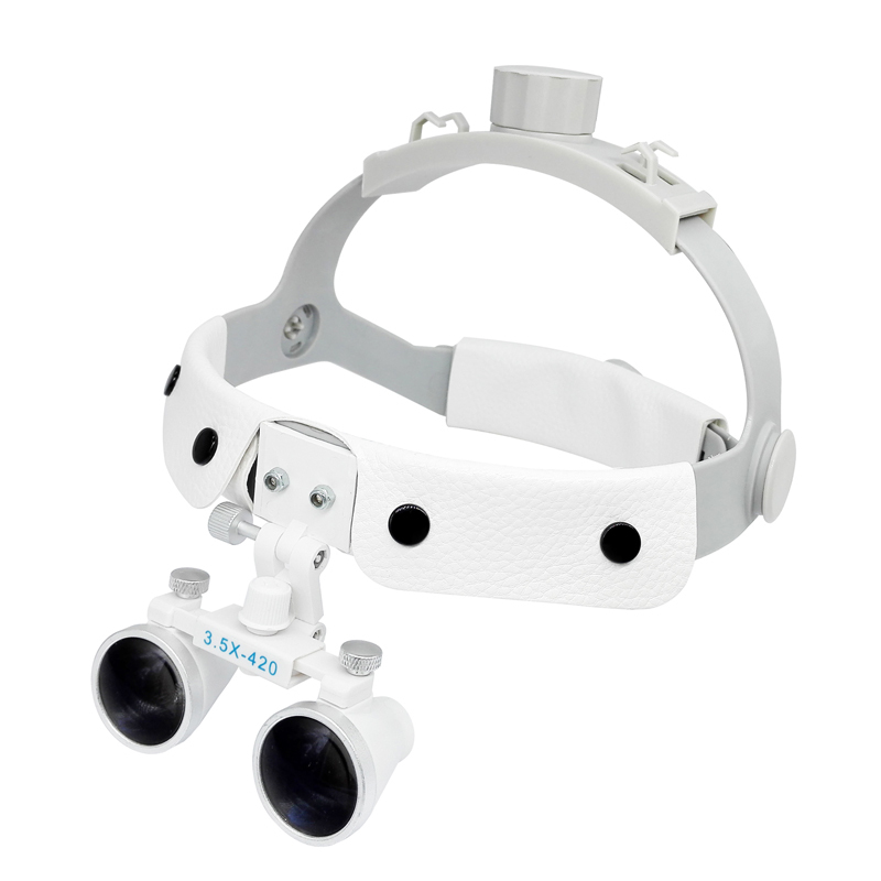 Dental Loupes Surgical Binocular Glass Medical Magnifier 3.5×420 &amp; LED Head Light