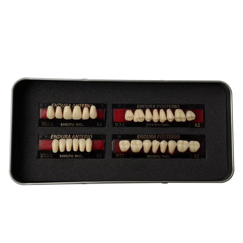 SHOFU ENDURA Dental Denture False Teeth Resin A2 M30 M32 Plastic