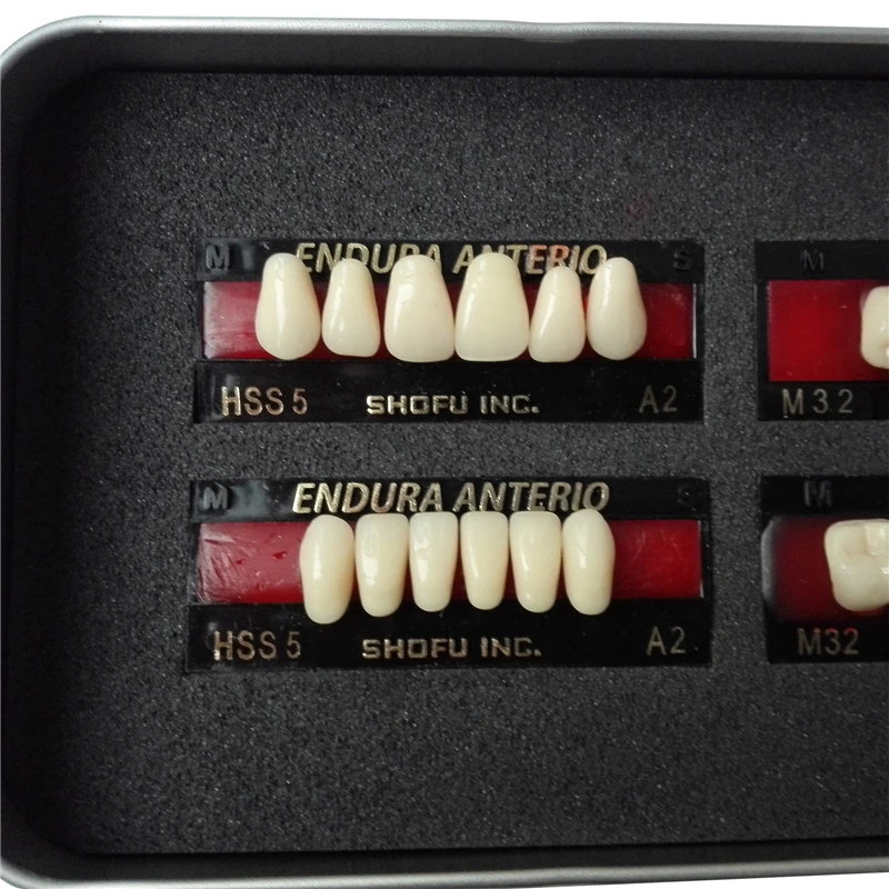 SHOFU ENDURA Dental Denture False Teeth Resin A2 M30 M32 Plastic