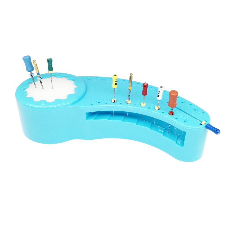 Dental Cleaning Twin-Bloc Endo Files Measuring Tools Accessory Endodontic Ruler