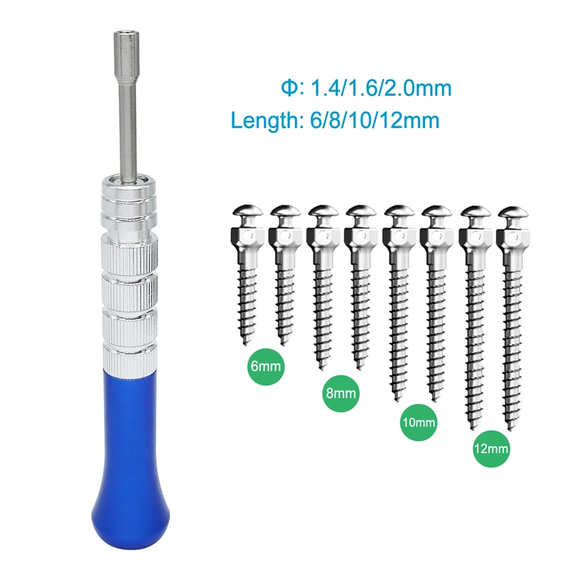 Dental Orthodontic Mini-Screw Anchorage Self Drilling Screw Titanium Implants