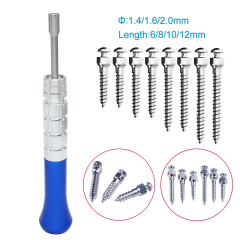 Dental Orthodontic Mini-Screw Anchorage Self Drilling Screw Titanium Implants