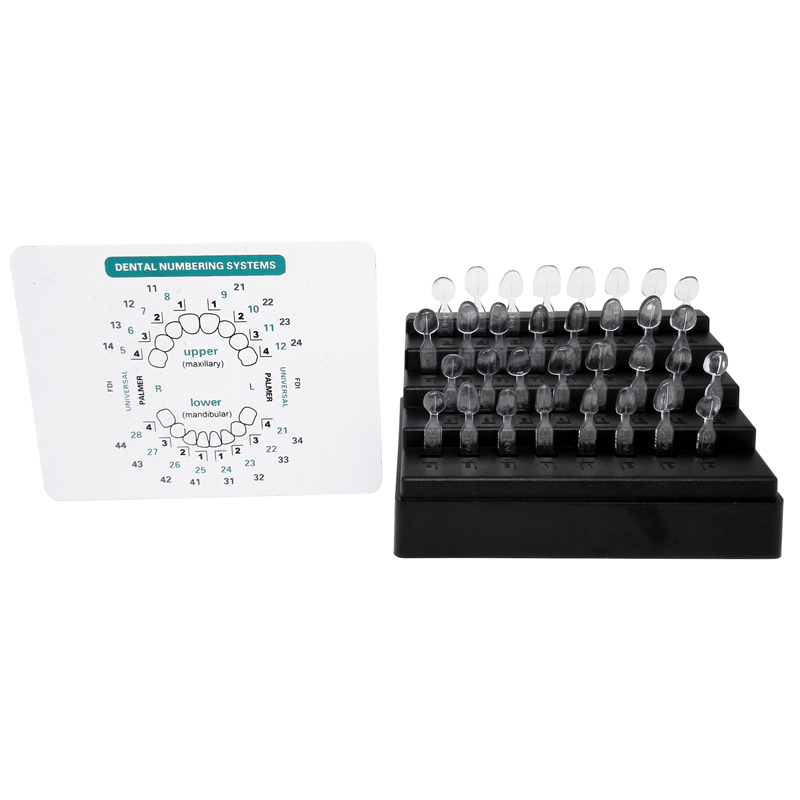 Denta Resinl Veneers Mould Quick Forming Teeth Veneer For Anterior Teeth