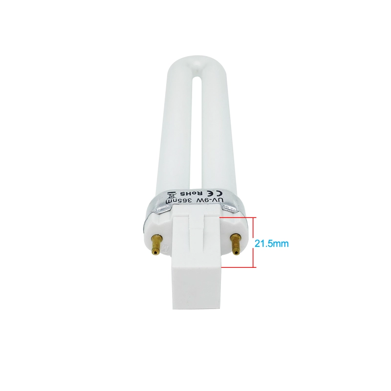 Dental Impression Material Light Curing Machine Tray UV Lamp