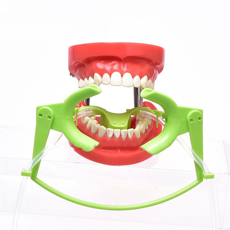 Dental Oral Dry Field System Nola Retractor Orthodontic Lip Cheek Retractor S/L