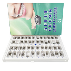 Dental Stainless Steel Adults Primary Molar Crown Pediatric Preformed 48Sizes