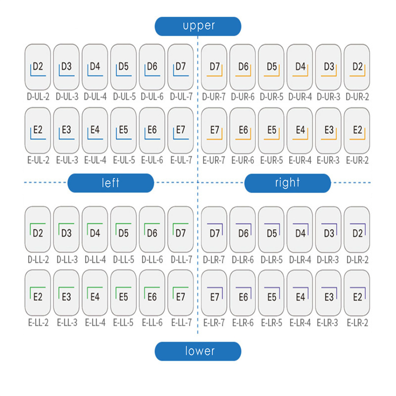 Dental Stainless Steel Kids Primary Molar Crown Pediatric Preformed 48Sizes