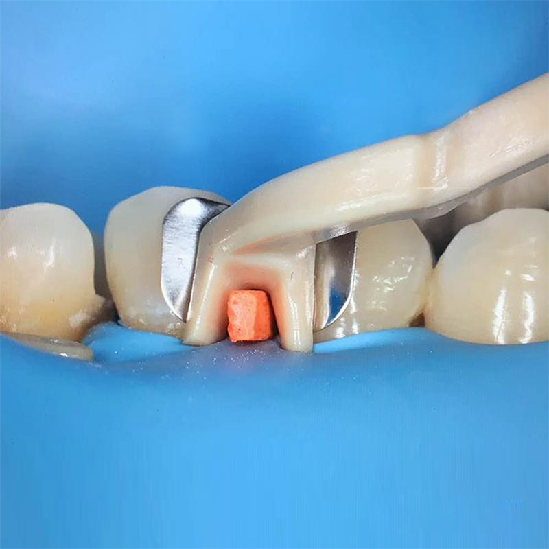 Dental Universal Resin Kerr Soft Clamp Universal Rubber Dam Sheet For Molar Premolar Teeth