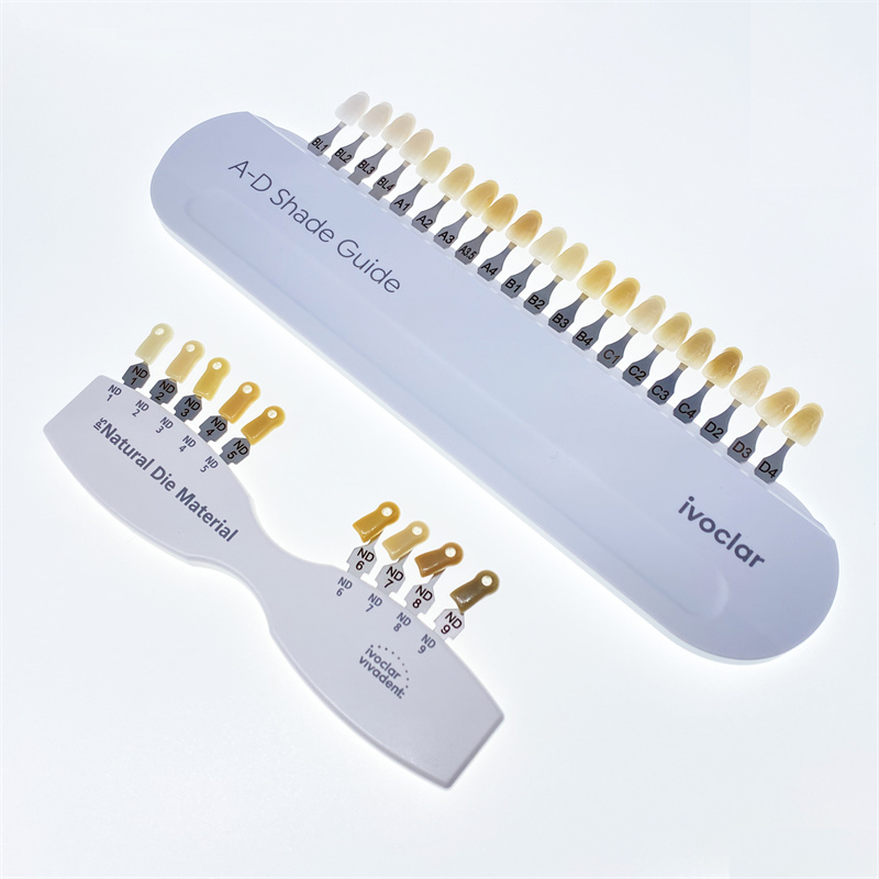 Ivoclar Vivadent Dental Shade Guide A-D 20 IPS & Natural Die ND1-9 Bleach Teeth