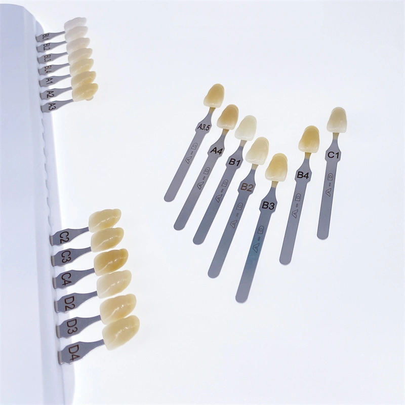 Ivoclar Vivadent Dental Shade Guide AD 20 IPS & Natural Die ND19