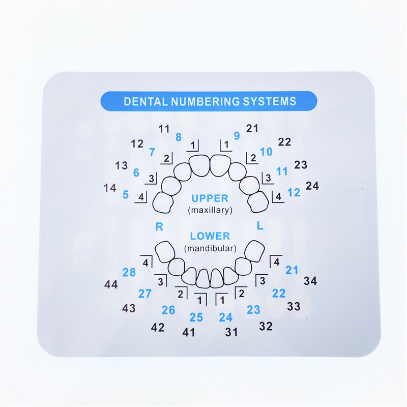 Dental Mould For Composite Resin Anterior Teeth Fast Quick Shaping Tooth Veneers